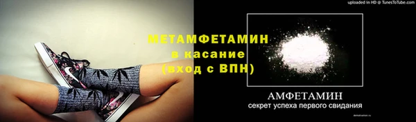 PSILOCYBIN Медвежьегорск