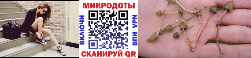 блэк спрут как войти  Среднеколымск  Псилоцибиновые грибы GOLDEN TEACHER 